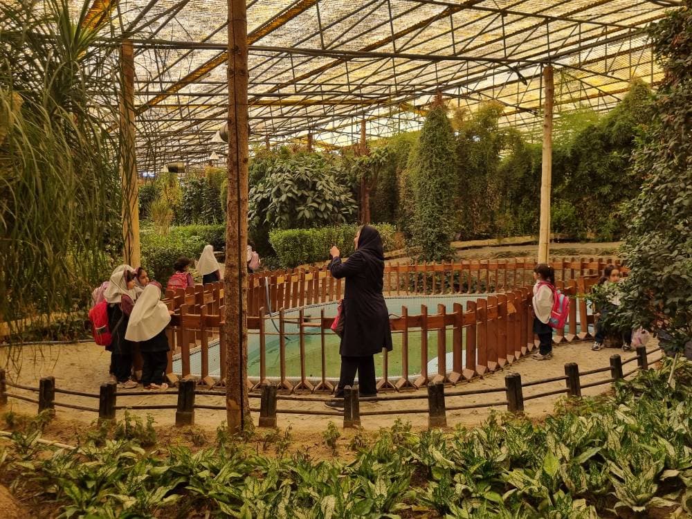 اردوی آکواریوم و مجموعه تفریحی ناژوان